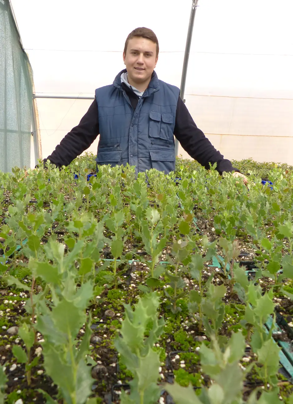 ecotrufa_plantas_micorizadas_home