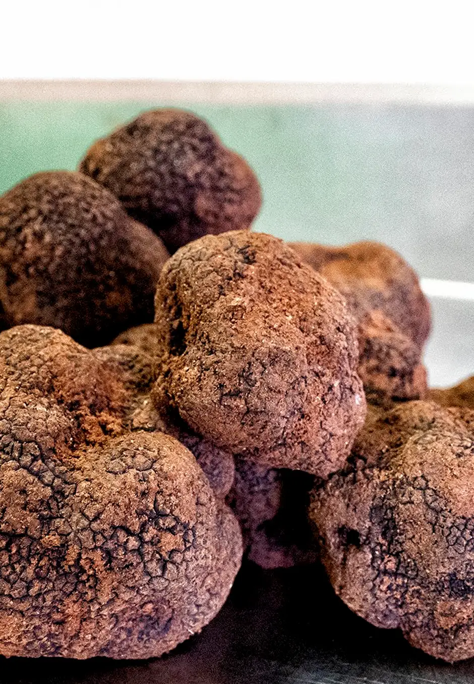 ecotrufa_trufa_negra_trufa-fresca